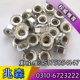 法兰螺母|兆森螺母厂|北京法兰螺母型号