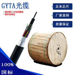 沈阳厂家16芯单模光纤GYTA-16B1 单凯装管道穿管光缆
