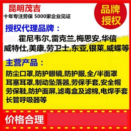 云南普洱梅思安天鹰4X气体检测仪供应商_昆明茂吉