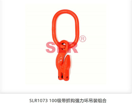 G100索具*-神力索具(在线咨询)-G100索具