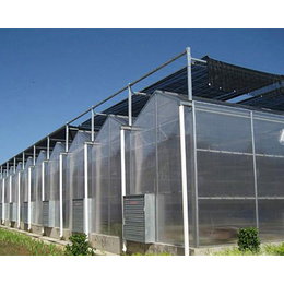 PC阳光板温室厂家,长治PC阳光板温室,益兴诚钢构温室工程