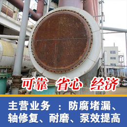 索雷工业(图)-重庆凝汽器管板防腐-云南凝汽器管板防腐