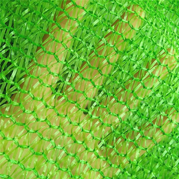 厂家*建筑工地裸土覆盖防尘网 绿色盖土网 绿化网 规格齐全缩略图