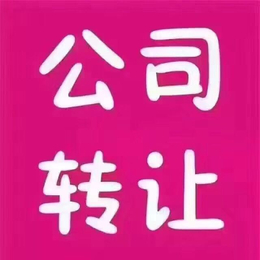 300万科技公司带标转让