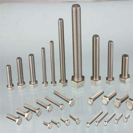 不锈钢T型螺栓、不锈钢长方形螺栓、不锈钢T型螺栓厂家
