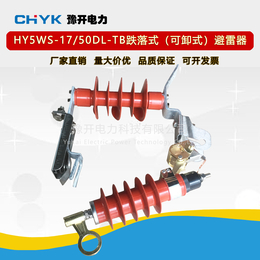 HY5WS-17-50L高压氧化锌避雷器10kV可卸式避雷器