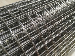 养殖电焊网生产-池州养殖电焊网-润标丝网