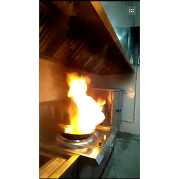 江西厨房自动灭火设备|厨房自动灭火设备|顺康消防工程(查看)