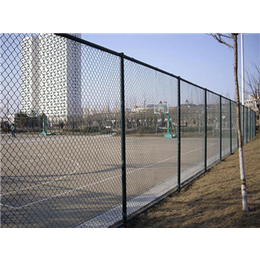 体育场地围栏网安装-腾佰丝网(在线咨询)-杭州体育场地围栏网