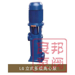 永嘉良邦25L*-10型立式分段式多级离心泵
