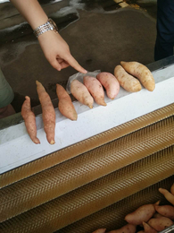 供应东北土豆清洗机  彦博1500型毛辊清洗设备
