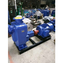 自吸泵规格型号(图)-无密封自控自吸泵-上海自吸泵