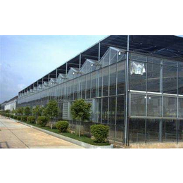 阳泉玻璃温室花房_玻璃温室花房生产厂家_安阳盛丰温室工程