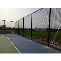 【球场围网】,球场围网价格,学校球场围网