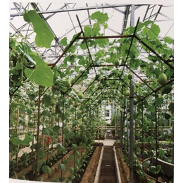 泰宇农业机械(图)、仙人球无土栽培种植槽、合肥种植槽