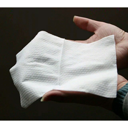 赛雅纸业设计(图),湿纸巾批发 单片装,湿纸巾批发