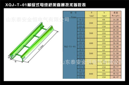 201不锈钢梯式桥架销售-金恒电气-济南201不锈钢梯式桥架