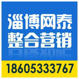 淄博网络推广公司方案、临淄网络推广公司、淄博网泰科技(查看)