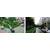 道路规划设计_武昌设计_找市政规划选城隆设计缩略图1