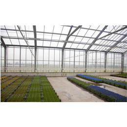 宿州花卉玻璃温室、安阳盛丰温室工程、花卉玻璃温室价格