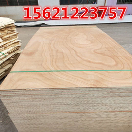 lvl胶合板胶合包装板胶合力强表面平整光滑不起泡星冠木业
