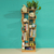 森宇厂家*创意树形书架学生书柜二筒组合收纳架客厅置物架落地缩略图1
