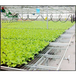 大同市棚室番茄栽培移动潮汐物流苗床如何进行管理报价