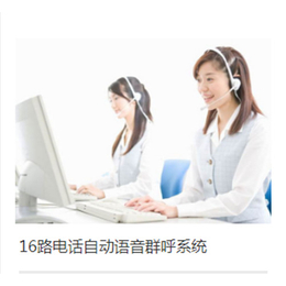 安庆16路呼叫中心电话自动语音*系统
