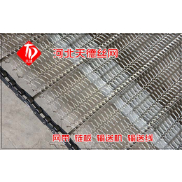 碳钢传动链网-兴隆台区网杆链-网杆链输送线