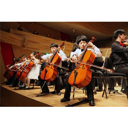 青少年学大提琴,音妙艺术传播中心(在线咨询),南宁学大提琴