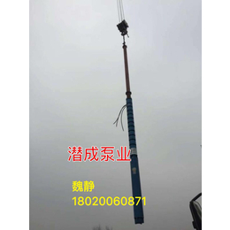 250QJR80-120-45KW温泉泵天津潜成泵业*