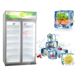 延安玻璃门速冻柜|达硕冷冻设备生产(图)|玻璃门速冻柜多少钱