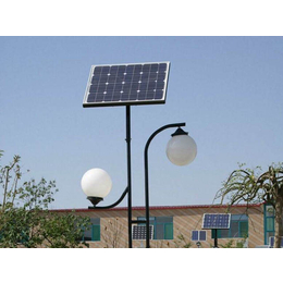 单灯头太阳能路灯|东龙新能源公司|单灯头太阳能路灯*