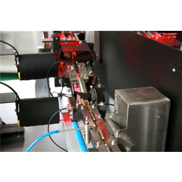 影像筛选机、光学分选机厂家，林洋(图)、影像筛选机设备