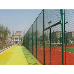 体育球场围栏维修、威友丝网、辽阳体育球场围栏