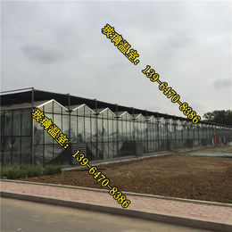 玻璃温室大棚生产厂家、遂宁玻璃温室、玻璃温室建设