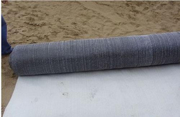 建通土工材料(图)-防水毯****生产厂家-七台河防水毯