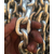 泰安镀锌链条,泰安市鑫洲机械,防护镀锌链条缩略图1