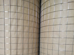 养殖电焊网供应-养殖电焊网-润标丝网(图)