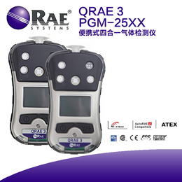 QRAE 3 便携无线四合一气体检测仪 *性气体泄漏报警仪