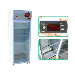 盛世凯迪制冷设备生产(图)|加热柜厂家|海西加热柜