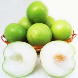 苹果枣多少钱一斤-贺州苹果枣-满园香