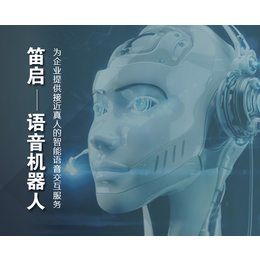 智能语音机器人报价-淮北智能语音机器人-安徽笛启科技公司
