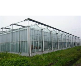 文洛式玻璃温室设备,玻璃温室,齐鑫温室园艺