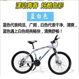 16寸自行车批发|建林自行车厂(在线咨询)|河北自行车批发