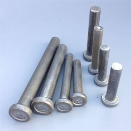邵阳焊钉-特速金属制品-永年焊钉