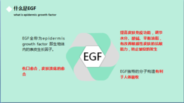 EGF细胞*原液广州戈蓝为您代加工人人都在用的*