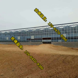 玻璃温室造价|鄂州玻璃温室|玻璃温室大棚