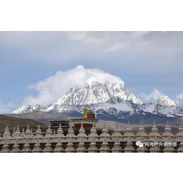 阿布旅游自由之选,川藏线租车公司谁比较正规