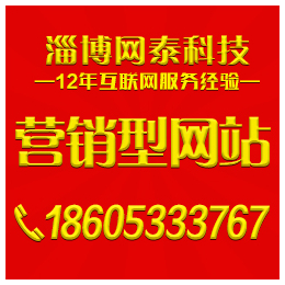 淄博营销型网站建设价格低、淄博营销型网站建设、淄博网泰科技